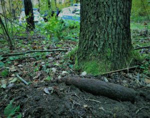 IMG_20201026_101941-kgqvxo1c